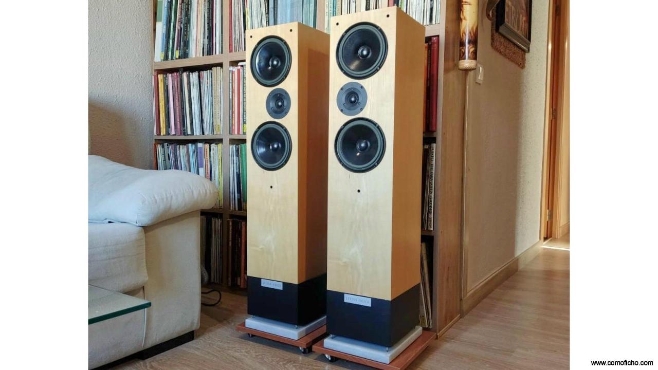 Living Voice Auditorium II (VENDIDAS)