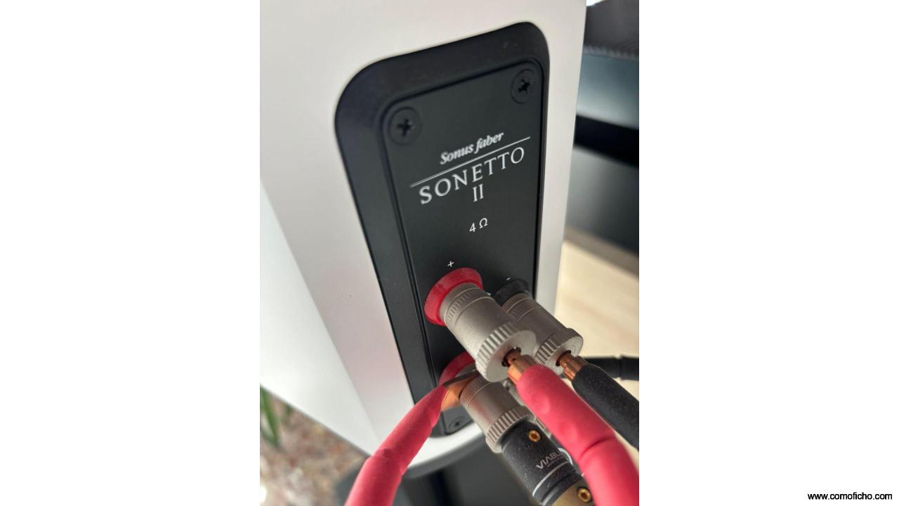 Sonus Faber SONETTO II