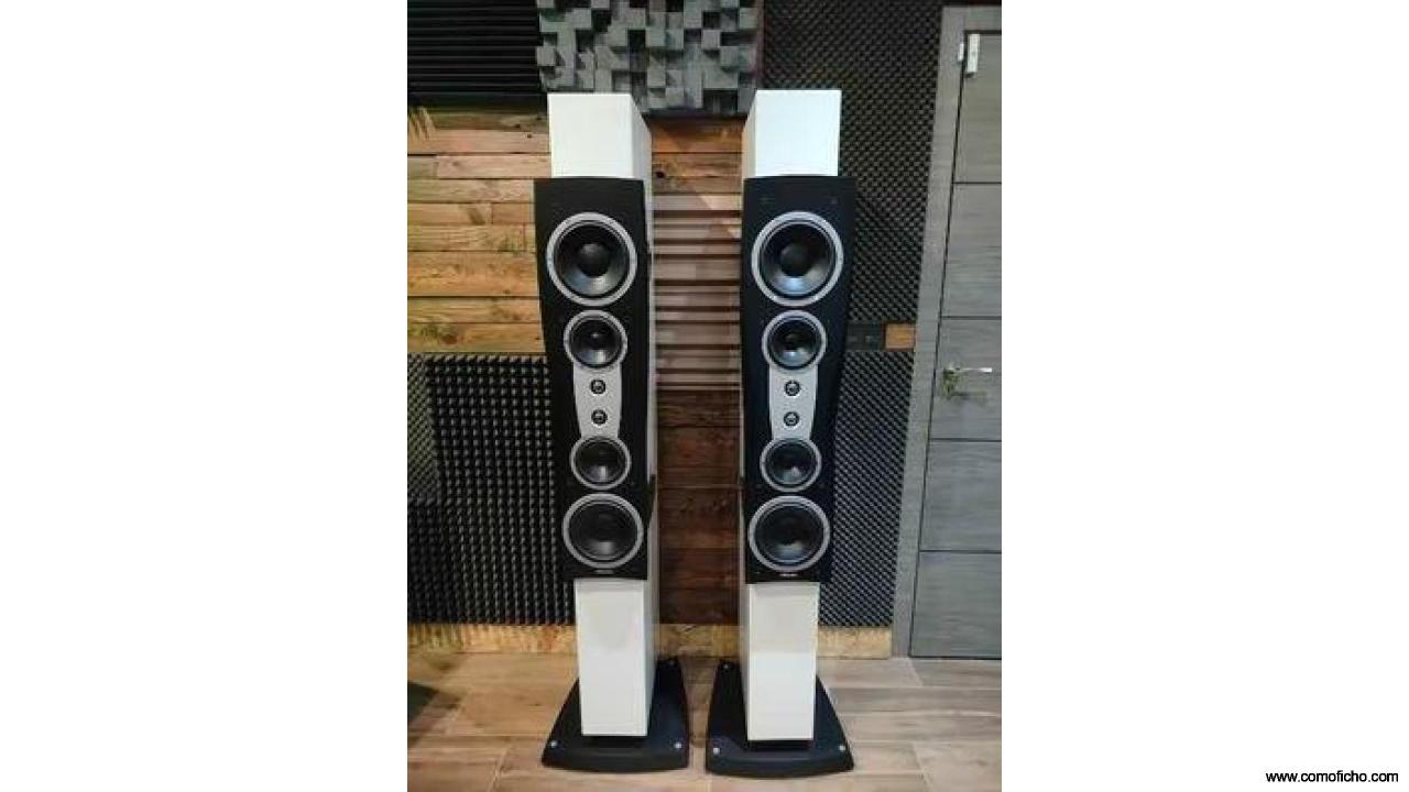 Altavoces Dynaudio Confidence C4 II (Rebaja)
