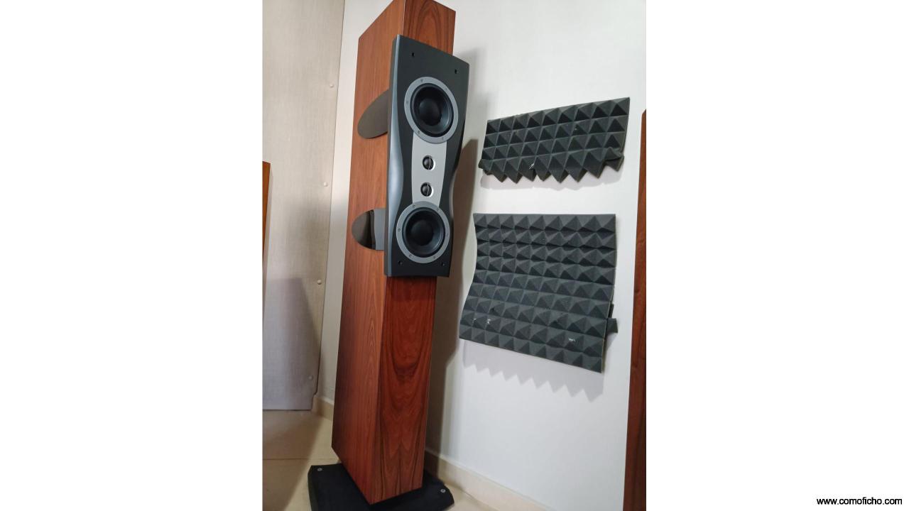 Dynaudio Confidence C2