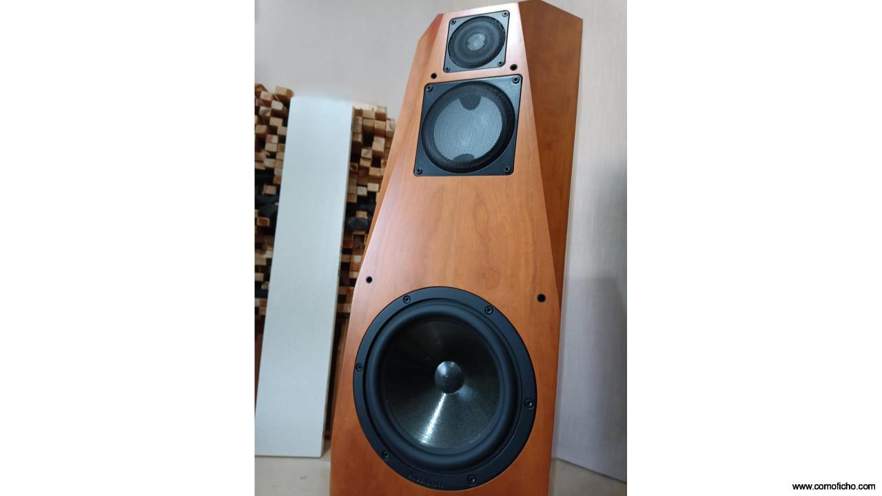 Avalon Acoustics OPUS