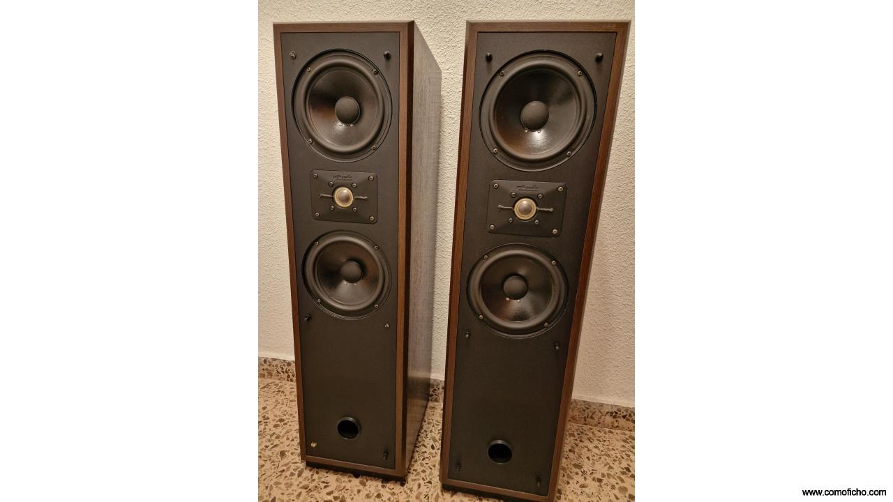 VENDO ALTAVOCES DE SUELO POLK AUDIO
