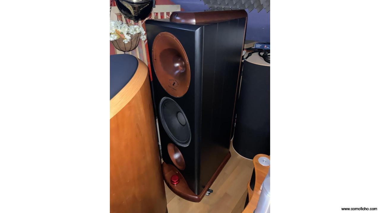 Conjunto alta sensibilidad