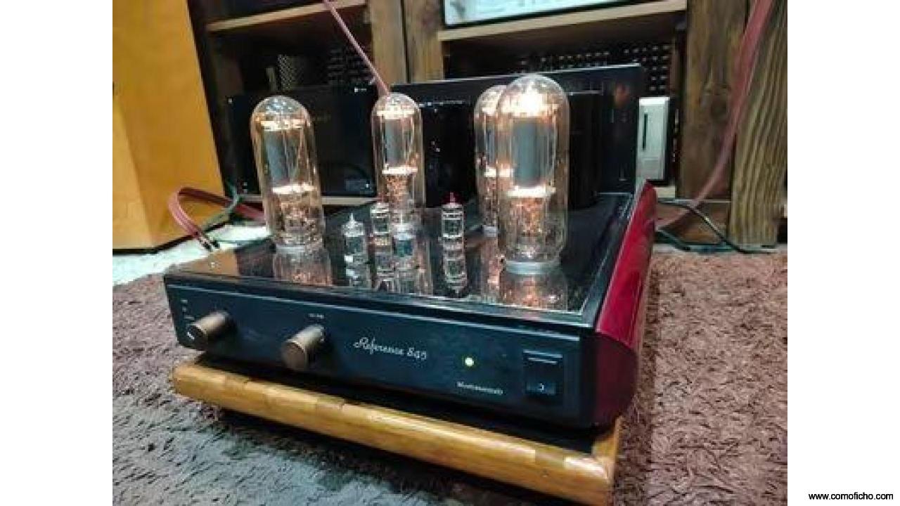 Amplificador Mastersound Reference 845