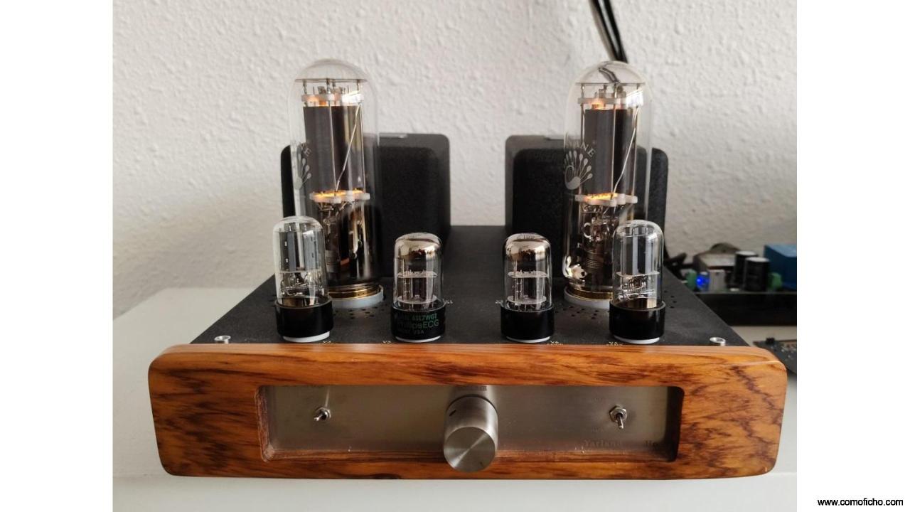 Amplificador Triodo 845 SE