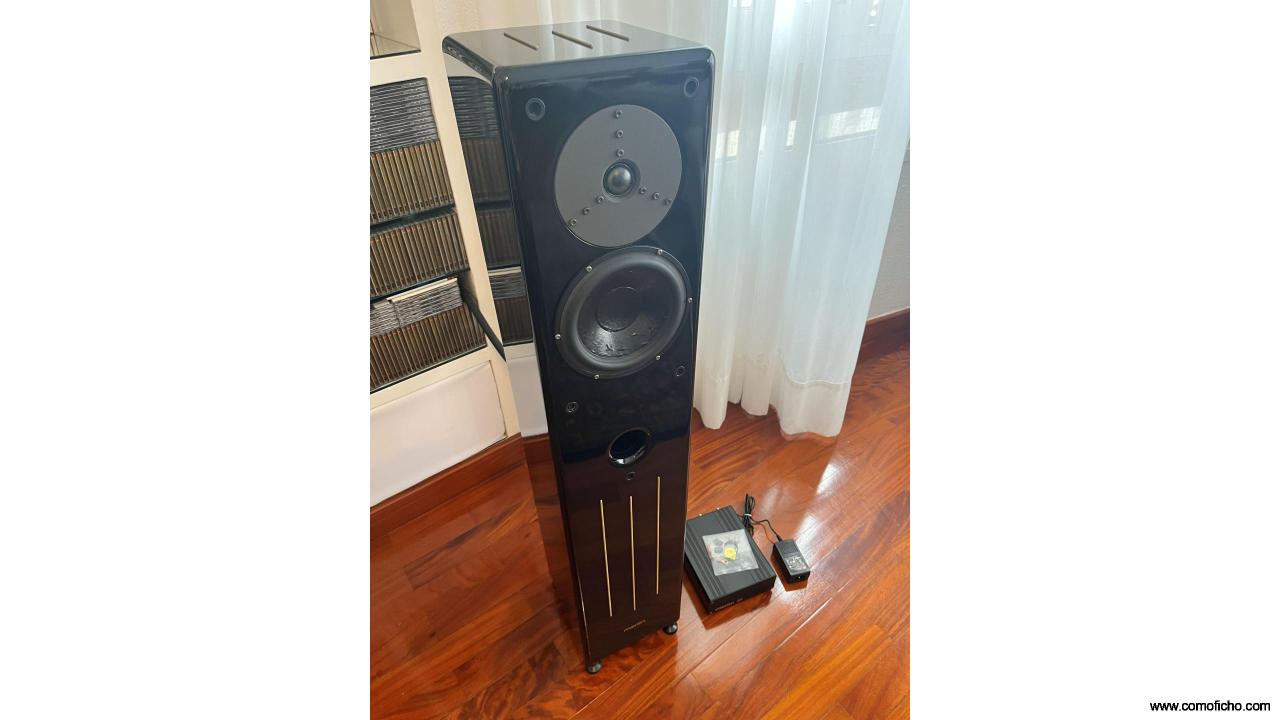 MERLIN VSM-MILLENIUM