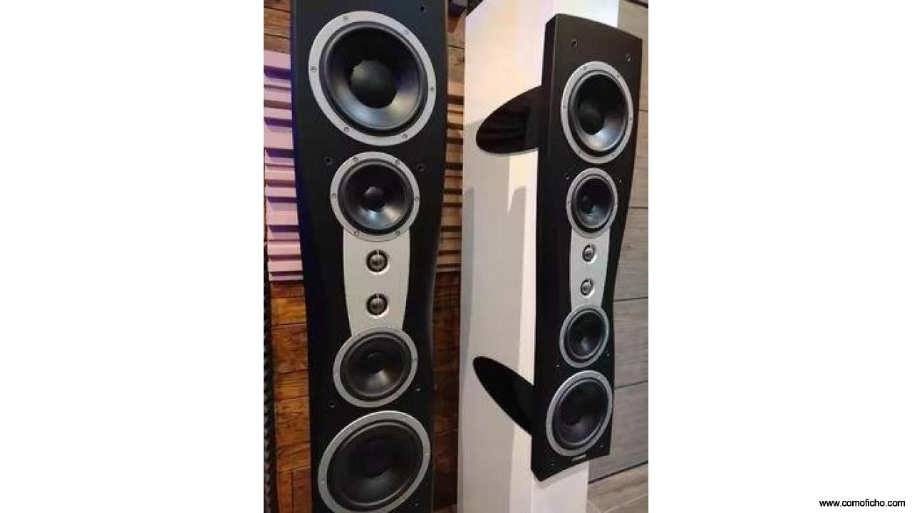 Altavoces Dynaudio Confidence C4 II (Rebaja)