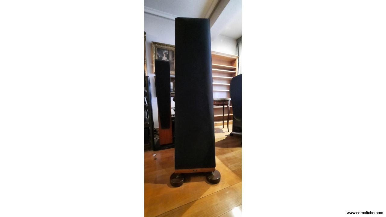 Thiel Frontal Torre 2 altavoces