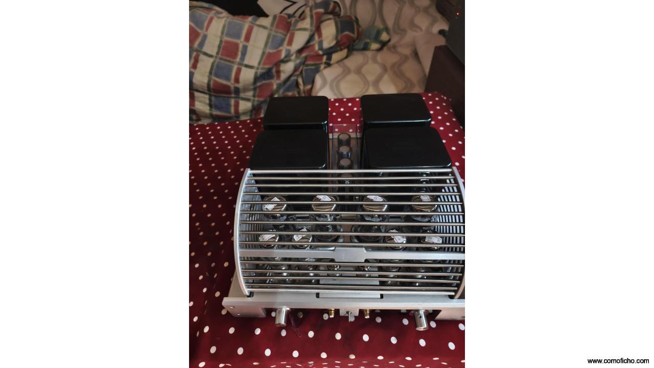 Amplificador a válvulas Yaquin 100b