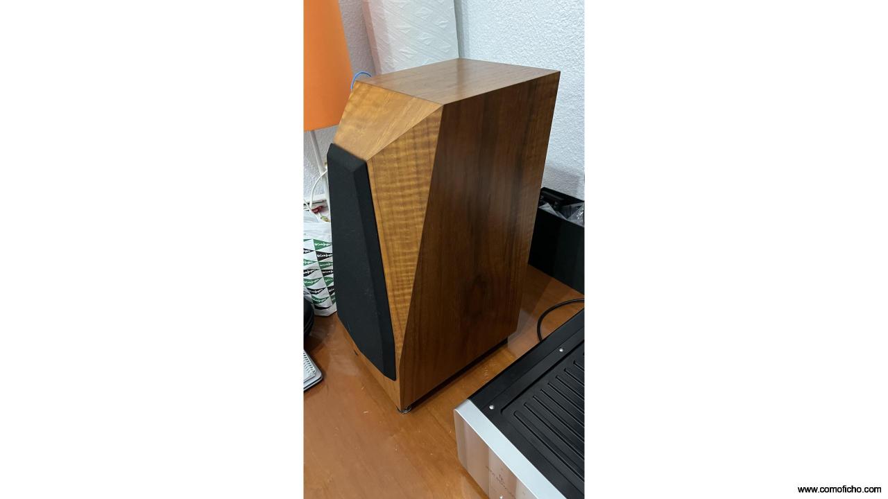 Altavoces avalon monitor