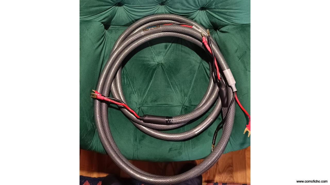 Acoustic Zen Satori zero cristal higs pass