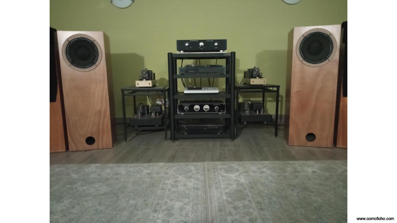 En venta columnas custom Tannoy Monitor Gold 10"