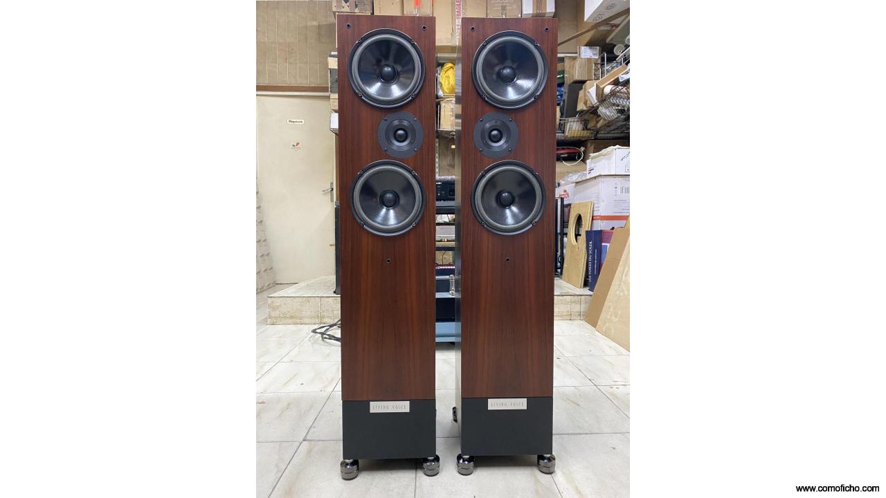 Living Voice Auditorium II