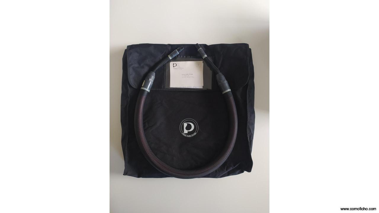 PURIST AUDIO DOMINUS DIGITAL