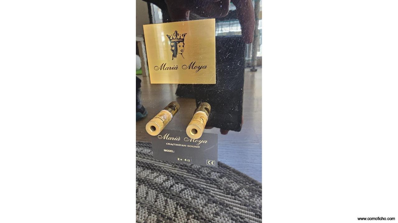 Pareja de Altavoz de la marca Marià Moya, modelo Verum.