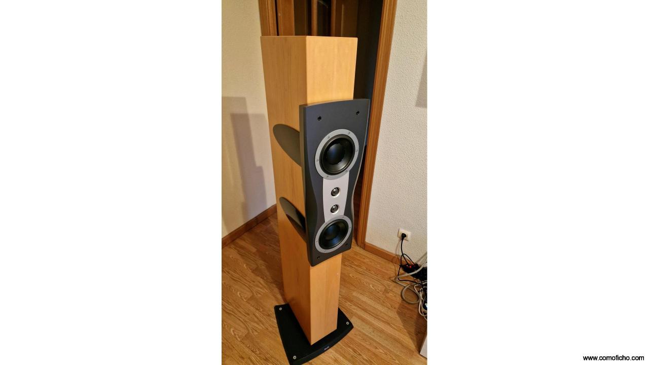 Dynaudio Confidence C2 (Tweeters Signature Platinum nuevos)