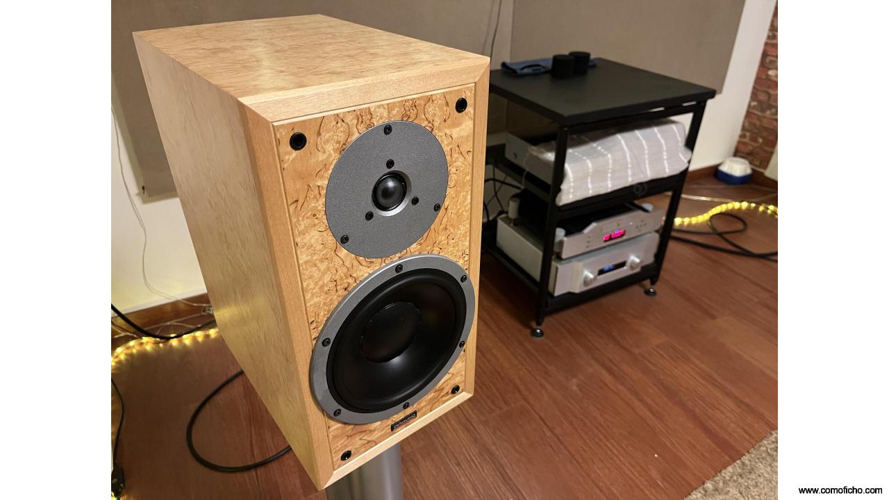Dynaudio 25 Aniversario+A.A Maestro 70+Moon CD 5.3