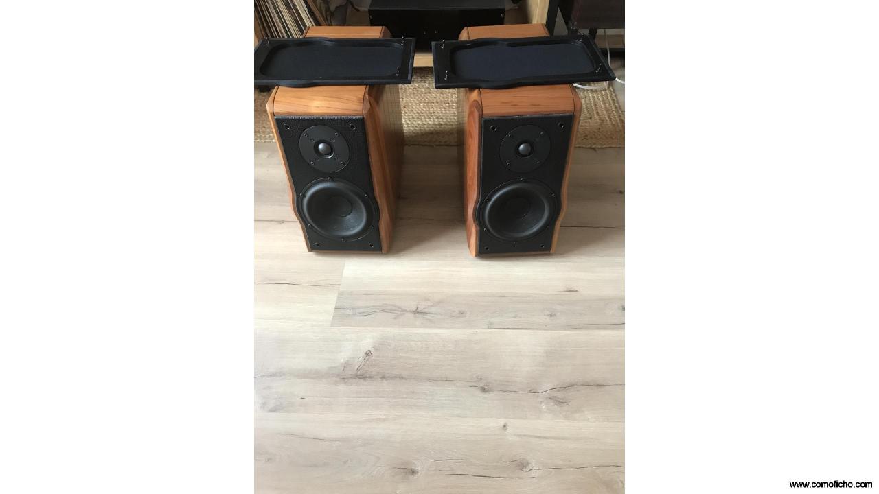Altavoces Usher rw 729,