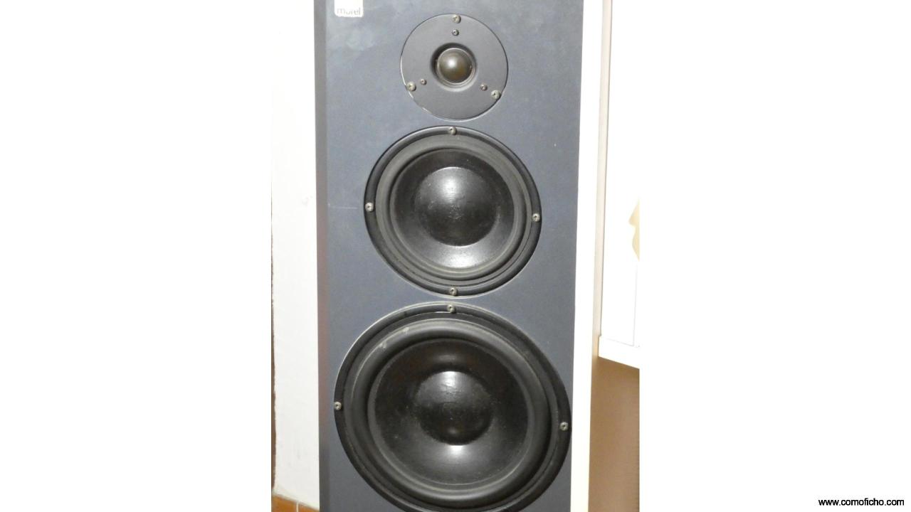 Morel-Dynaudio Model 2
