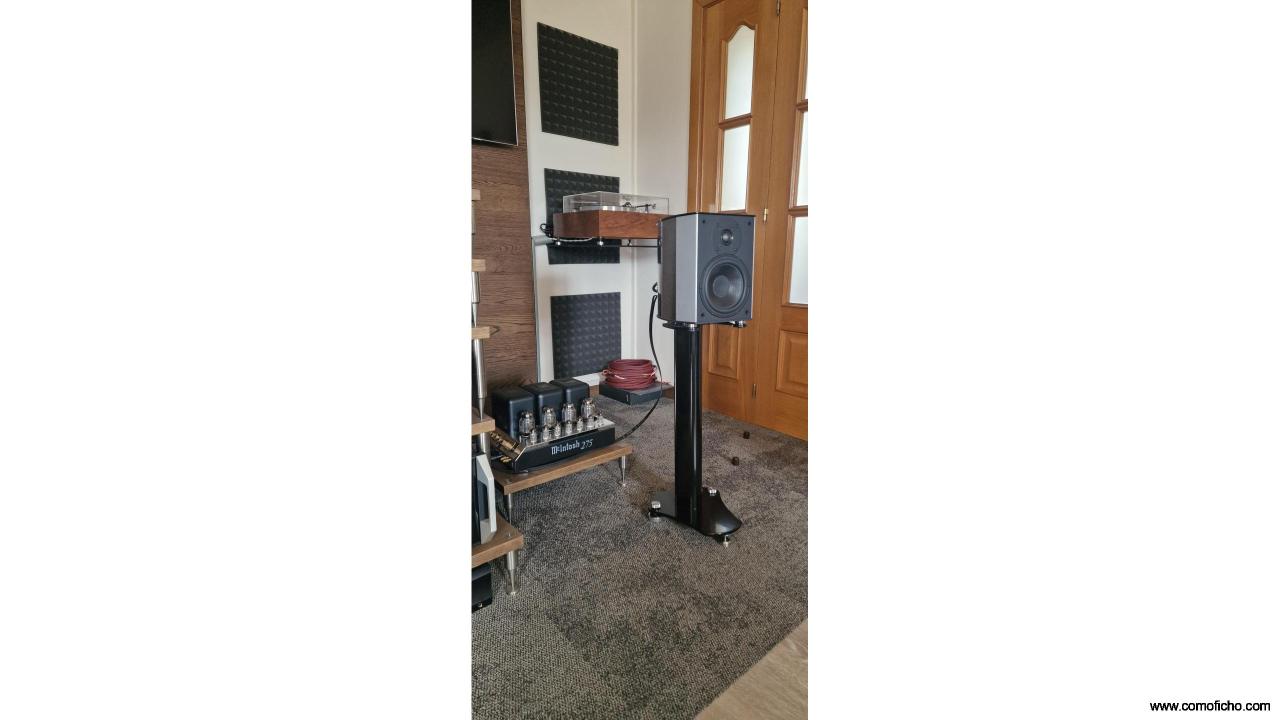 WILSON BENESCH ARC