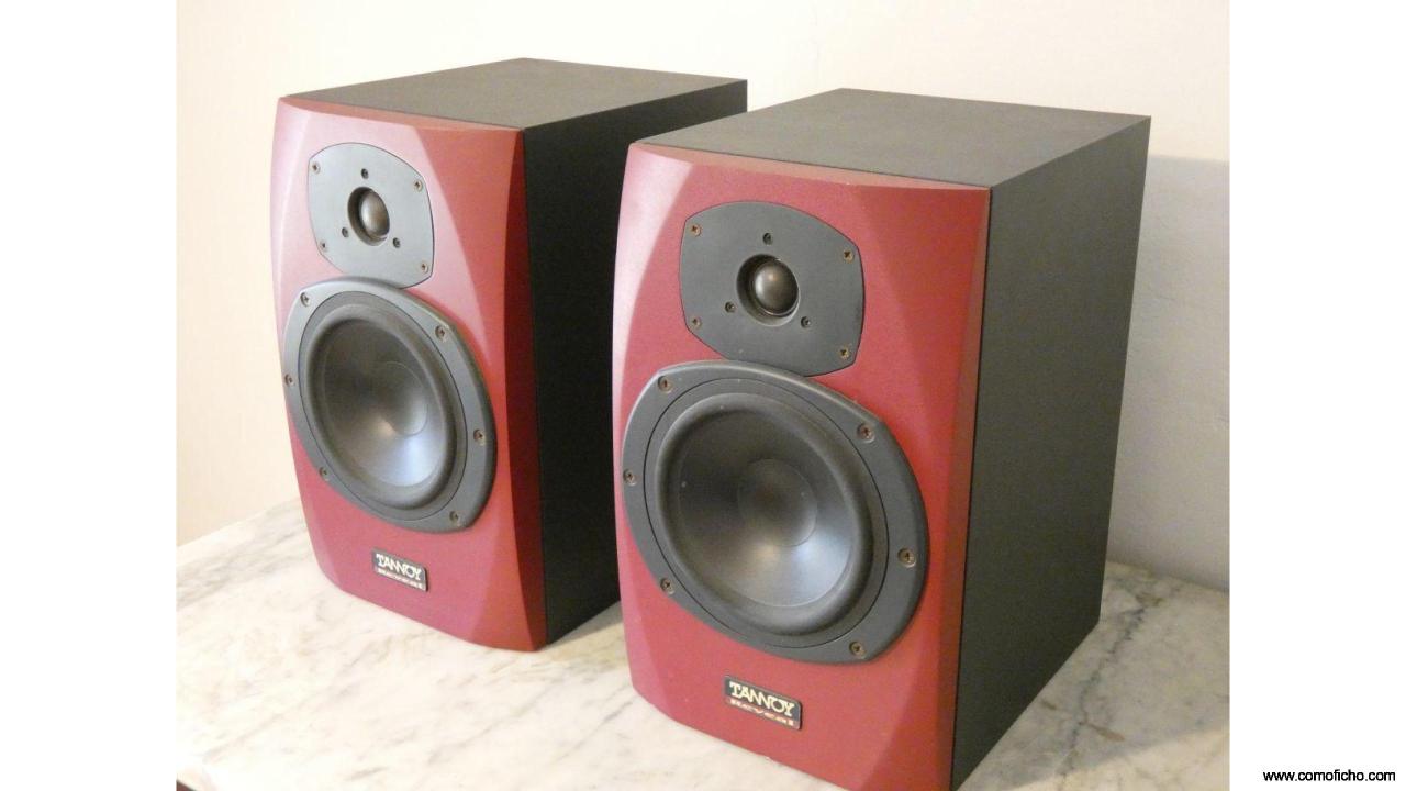 Tannoy Reveal 2006 pasivos