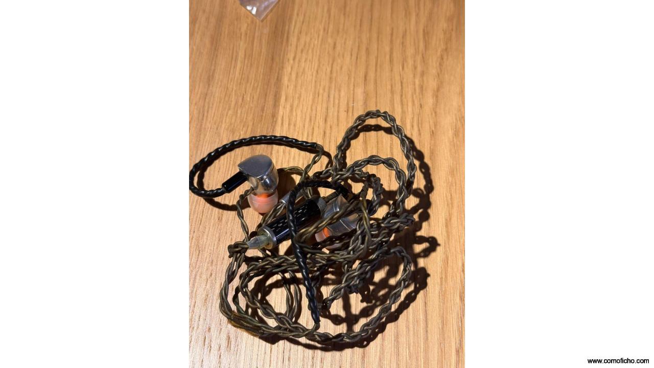 Rhapsodio RTi1 IEMs.