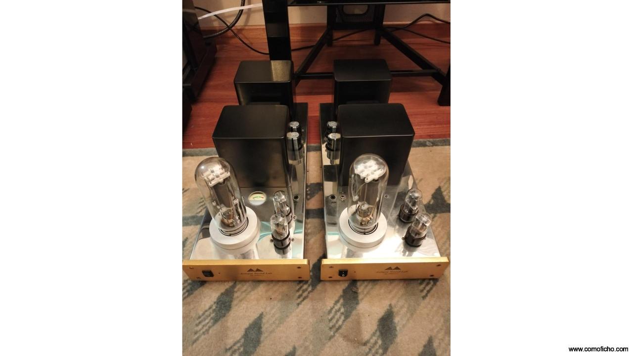 Etapas monofonicas Antique Sound Lab AQ1006(211)