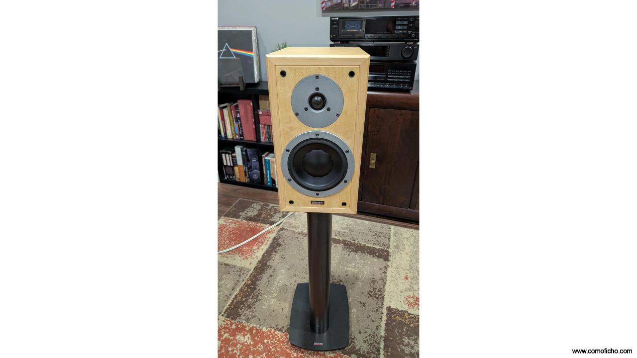Dynaudio Contour 1.3 SE y soportes Dynaudio