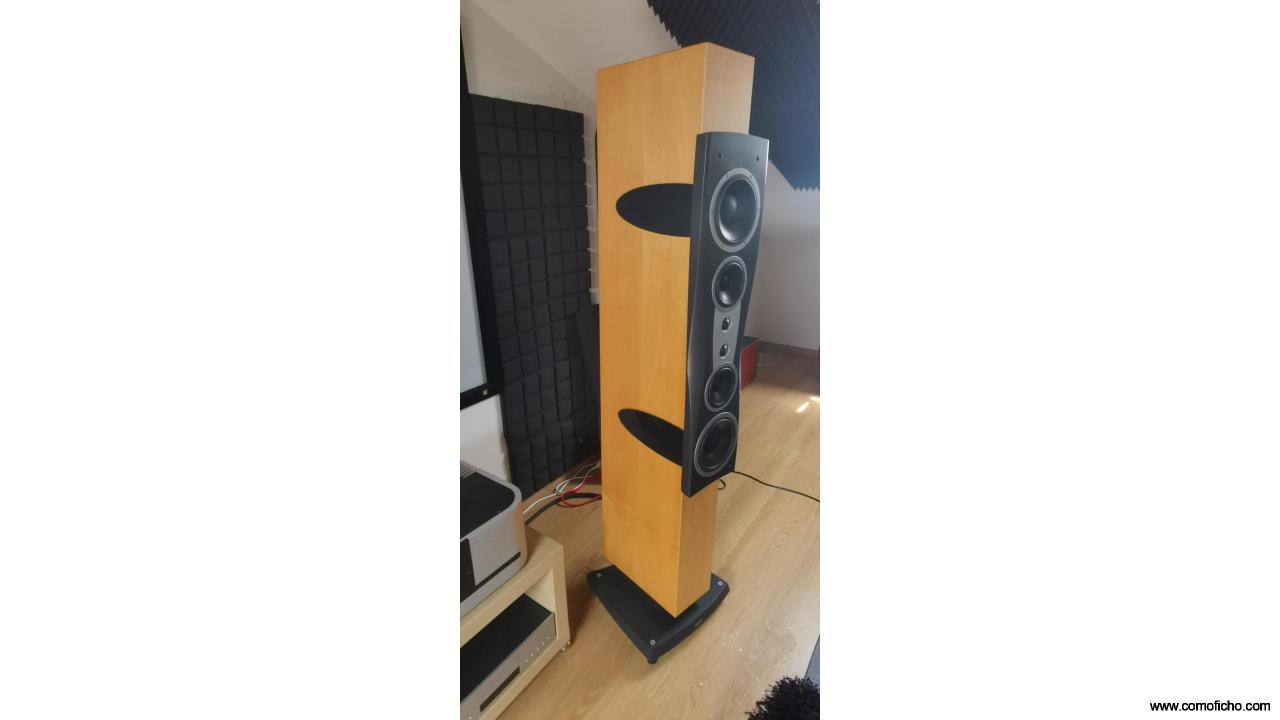 Dynaudio confidence c4