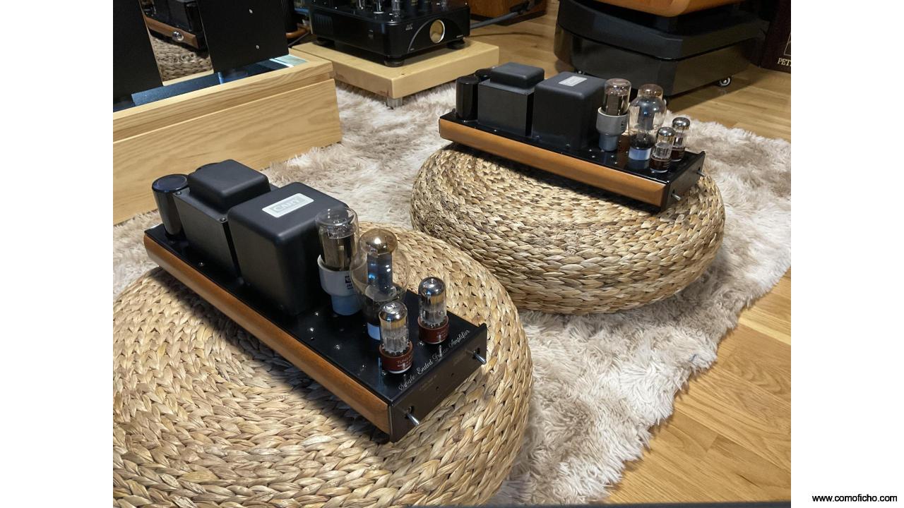 Cary Audio Cad 300 se