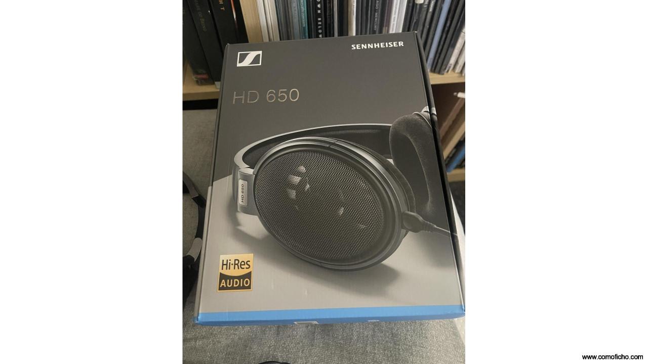 Sennheiser HD 650
