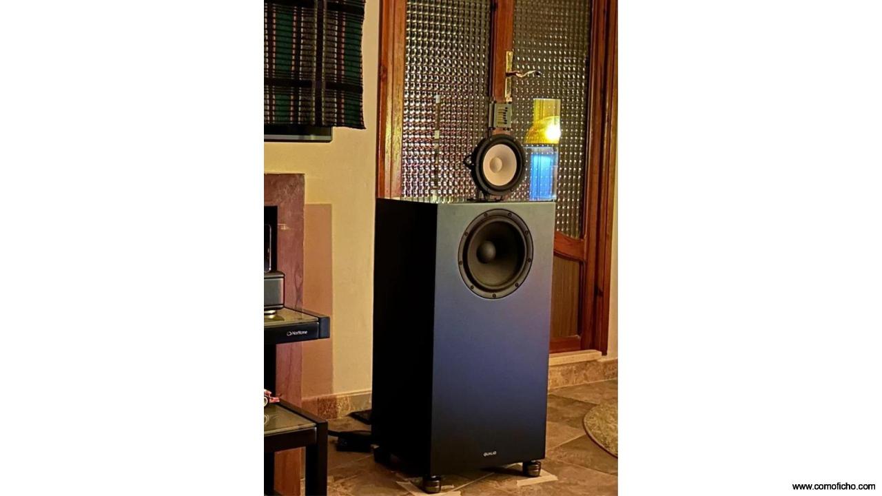 Qualio IQ Altavoces