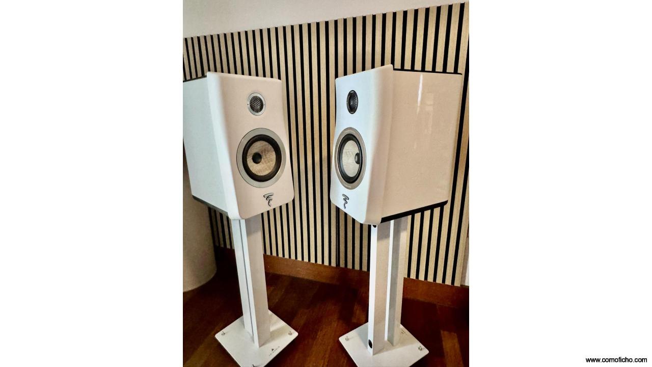 FOCAL Kanta N° 1