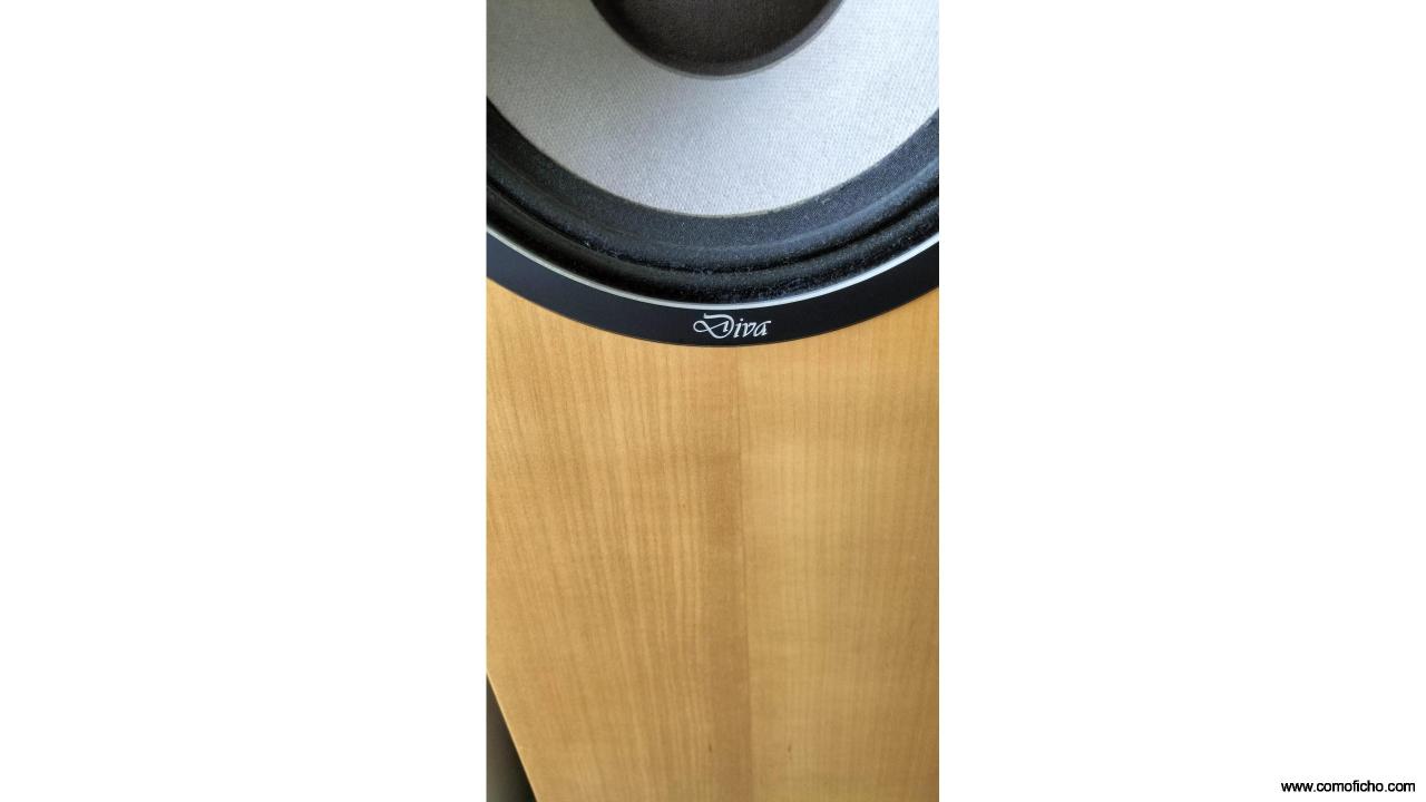 ALTAVOCES WLM MODELO DIVA