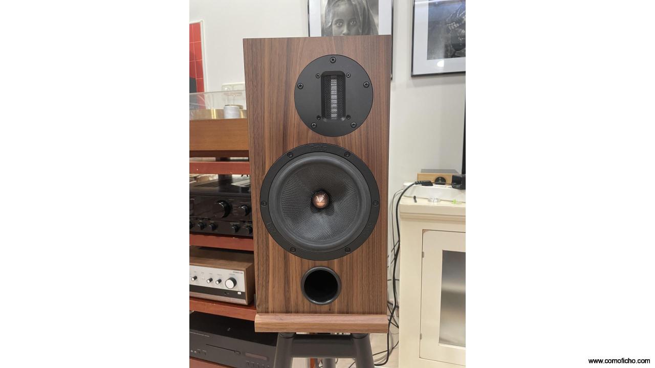 Cajas acústicas Proac D2R+soportes Solidsteel