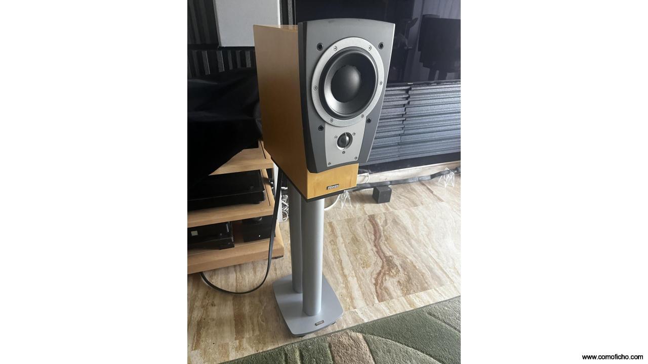 Dynaudio c1
