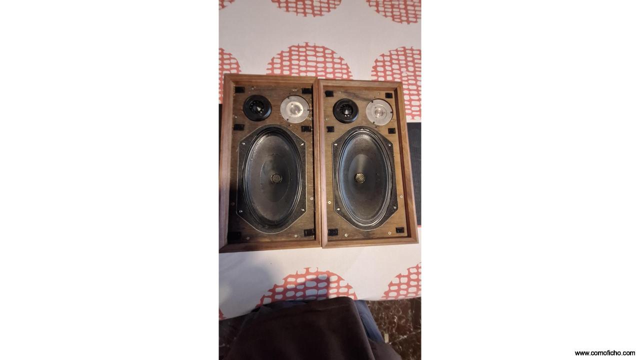 W&B DM1