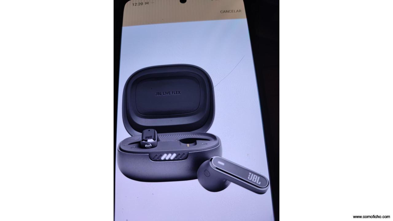 JBL Buda Live Flex Black