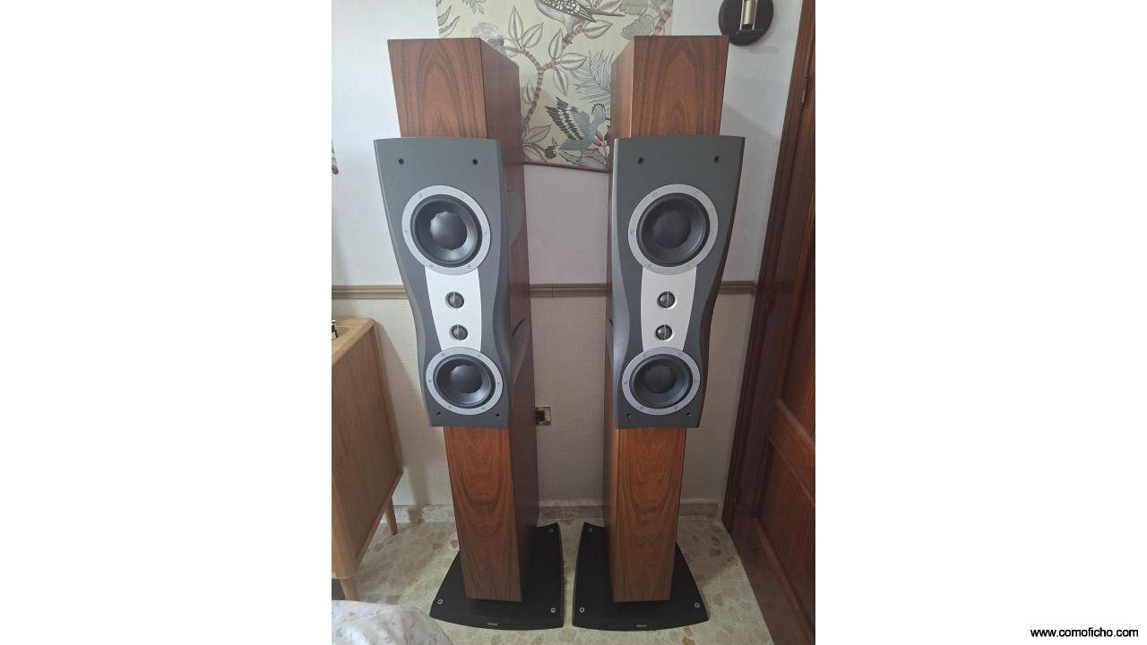 Dynaudio C2