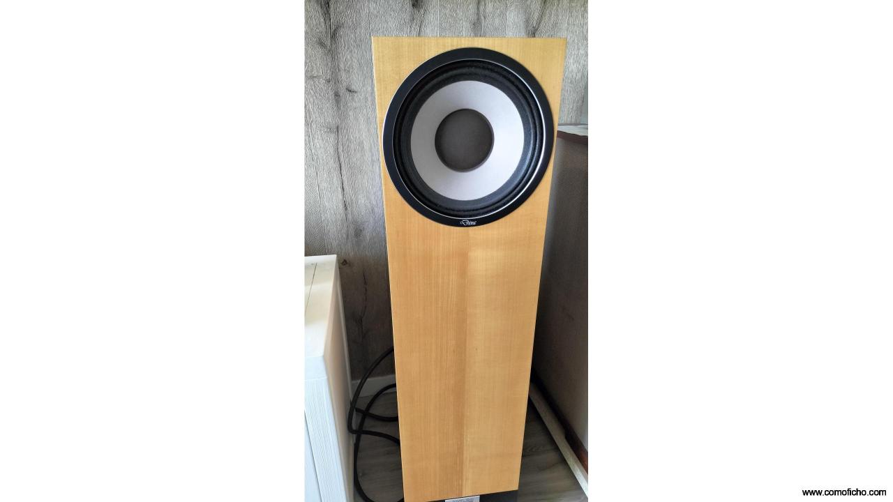 CAMBIO ALTAVOCES WLM DIVA