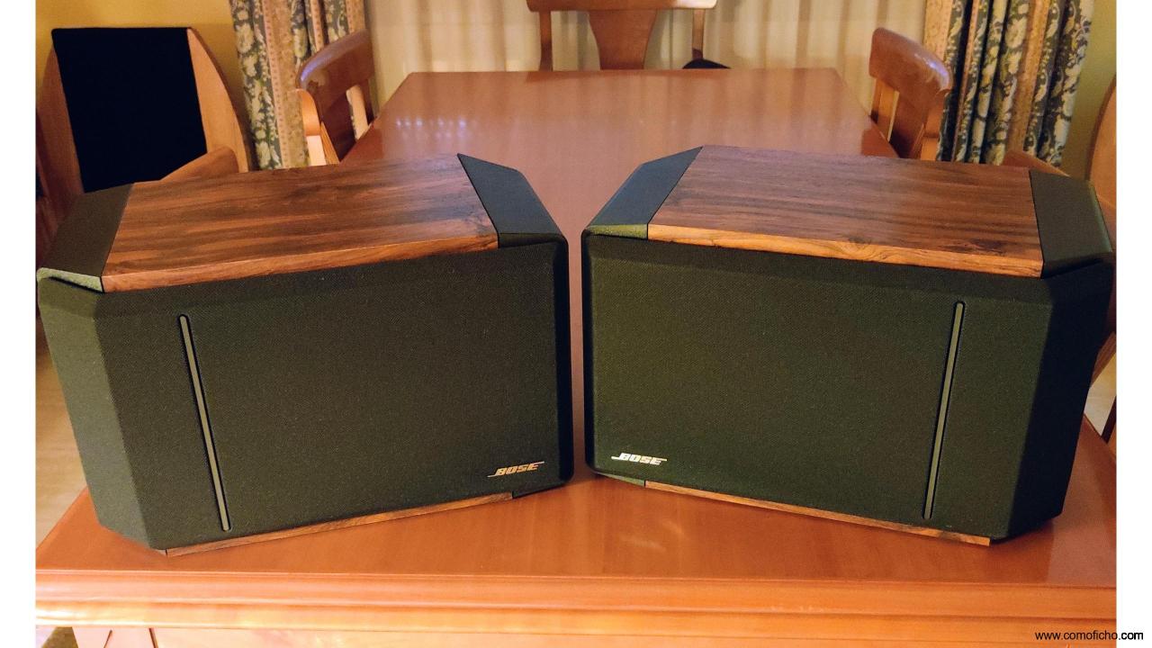 Bose 301 IV