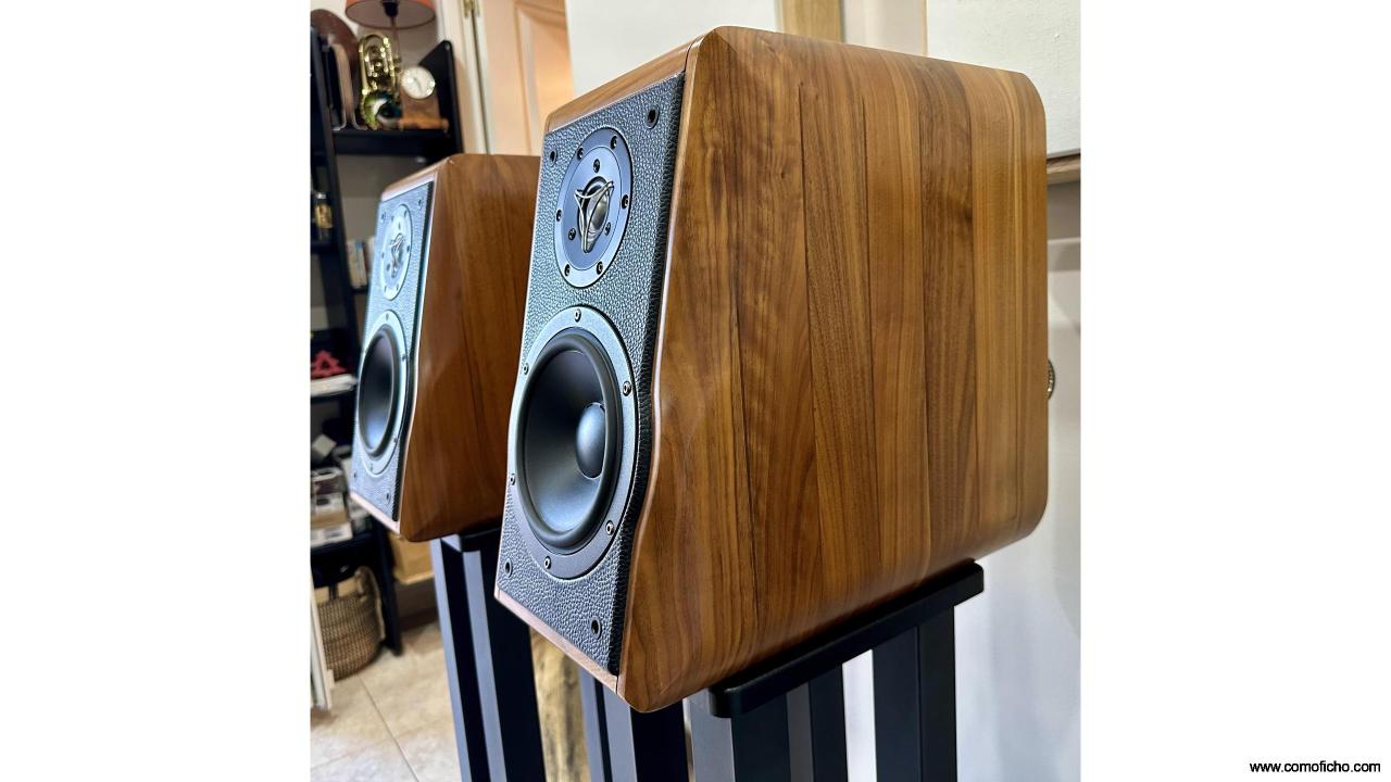 Altavoces High-End Usher RW-729 Modificados (Componentes Premium)