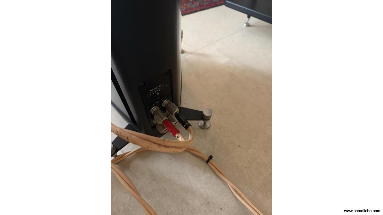 Sonus Faber Olympica II