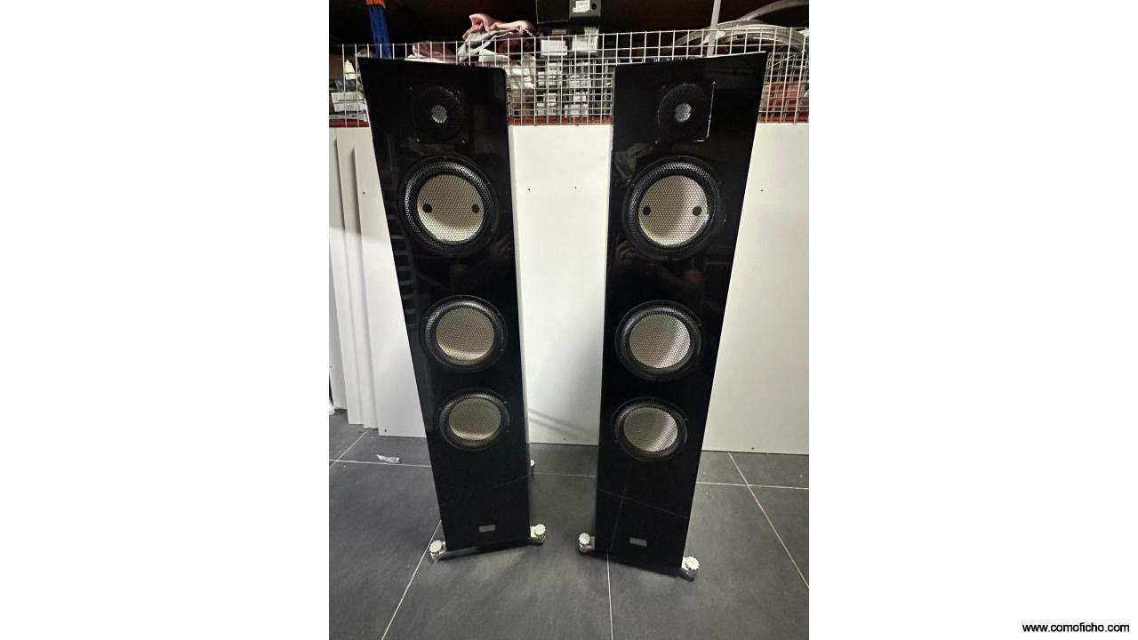 Gauder Acoustic Cassiano